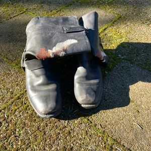 Harley Davidson boots